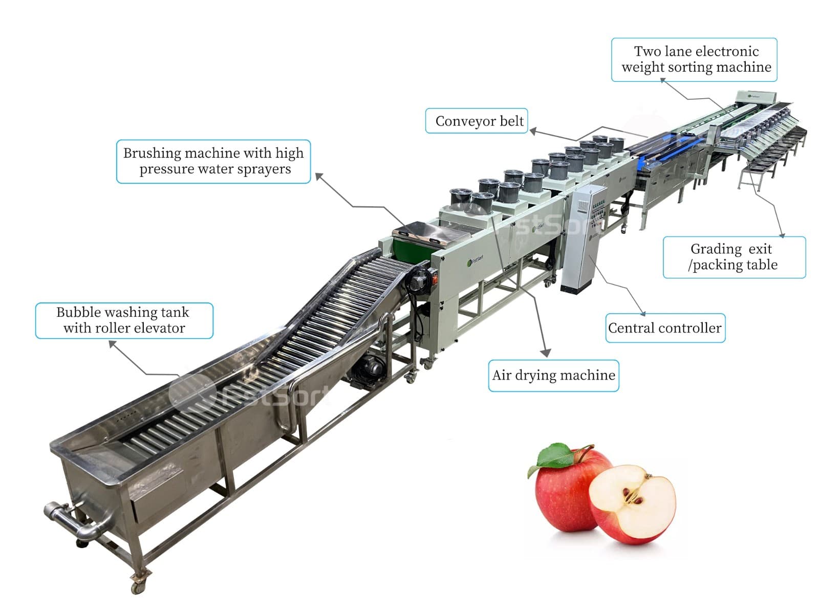 images/1650355471081apple processing line analysis.jpg